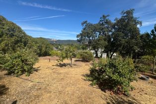 Single Family Residence,  St Michael court, Cloverdale, CA 95425 - 45