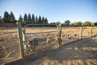 Single Family Residence,  Bisordi lane, Santa Rosa, CA 95439 - 12