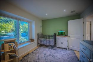 Single Family Residence,  Bisordi lane, Santa Rosa, CA 95439 - 59
