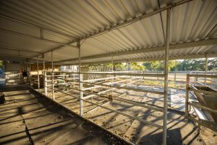 Single Family Residence,  Bisordi lane, Santa Rosa, CA 95439 - 6