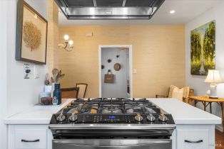 Single Family Residence,  Matheson street, Healdsburg, CA 95448 - 17