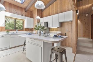 Single Family Residence,  Fly Cloud road, Sea Ranch, CA 95497 - 17