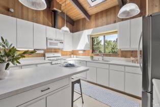 Single Family Residence,  Fly Cloud road, Sea Ranch, CA 95497 - 14