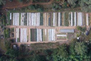 Single Family Residence,  Fly Cloud road, Sea Ranch, CA 95497 - 41