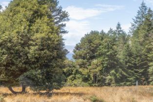 Single Family Residence,  Fly Cloud road, Sea Ranch, CA 95497 - 20