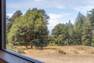 Single Family Residence,  Fly Cloud road, Sea Ranch, CA 95497 - 3