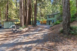Single Family Residence,  Hwy 116 none, Russian River, CA 95436 - 2
