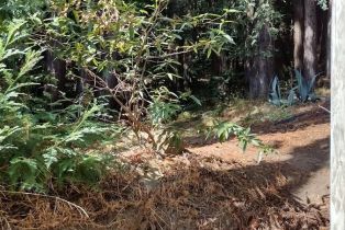Residential Lot,  Neeley road, Russian River, CA 95446 - 2