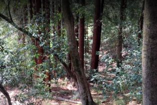 Residential Lot,  Neeley road, Russian River, CA 95446 - 4
