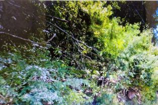 Land, 18355 Neeley Rd, Russian River, CA  Russian River, CA 95446