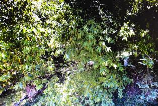 Residential Lot,  Neeley road, Russian River, CA 95446 - 3