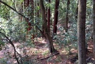 Residential Lot,  Neeley road, Russian River, CA 95446 - 3