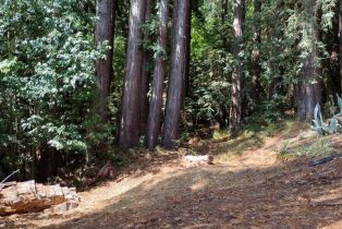 Residential Lot,  Neeley road, Russian River, CA 95446 - 7