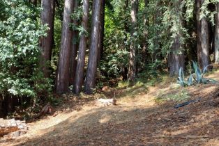 Land, 18355 Neeley Rd, Russian River, CA  Russian River, CA 95446