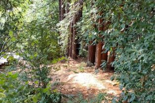 Residential Lot,  Neeley road, Russian River, CA 95446 - 8