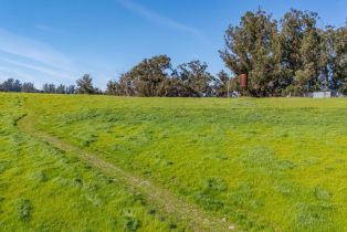 Single Family Residence, Eucalyptus road, Petaluma, CA 94952 - 11
