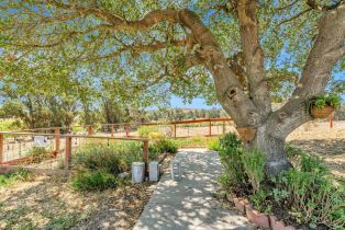 Single Family Residence,  Eucalyptus road, Petaluma, CA 94952 - 25
