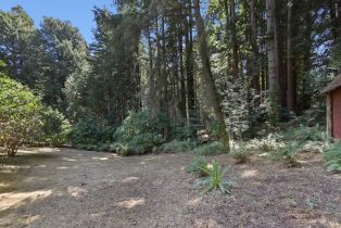 Single Family Residence,  Fiori lane, Sebastopol, CA 95472 - 50