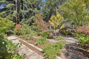 Single Family Residence,  Fiori lane, Sebastopol, CA 95472 - 45