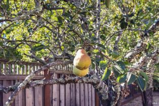 Single Family Residence,  Tee drive, Healdsburg, CA 95448 - 37