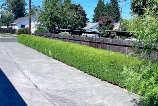 Halfplex,  North street, Healdsburg, CA 95448 - 10