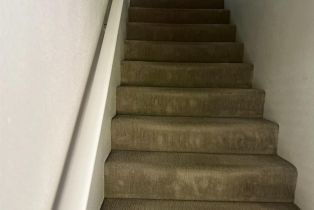 Halfplex,  North street, Healdsburg, CA 95448 - 21