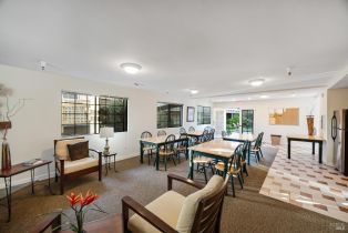 Condominium,  Petaluma boulevard, Petaluma, CA 94952 - 15