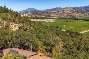 Single Family Residence,  Summit drive, Calistoga, CA 94515 - 10