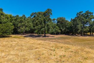 Residential Acreage,  Silverado trail, Napa, CA 94558 - 17