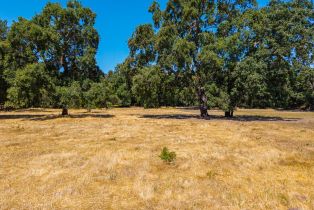 Residential Acreage,  Silverado trail, Napa, CA 94558 - 18