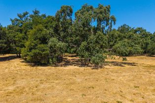 Residential Acreage,  Silverado trail, Napa, CA 94558 - 23