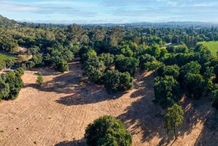 Residential Acreage,  Silverado trail, Napa, CA 94558 - 29