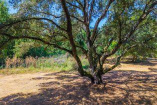 Residential Acreage,  Silverado trail, Napa, CA 94558 - 25
