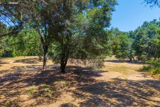 Residential Acreage,  Silverado trail, Napa, CA 94558 - 26