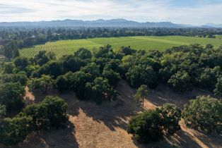 Residential Acreage,  Silverado trail, Napa, CA 94558 - 4