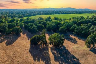 Land, Silverado Trl, Napa, CA  Napa, CA 94558