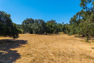 Residential Acreage,  Silverado trail, Napa, CA 94558 - 15