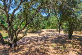Residential Acreage,  Silverado trail, Napa, CA 94558 - 24