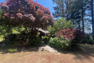 Single Family Residence,  Constellation court, Sea Ranch, CA 95497 - 4