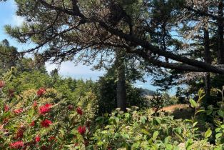 Single Family Residence,  Constellation court, Sea Ranch, CA 95497 - 24