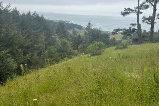 Single Family Residence,  Constellation court, Sea Ranch, CA 95497 - 28