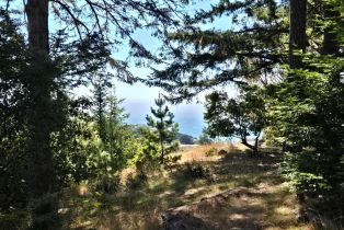 Single Family Residence,  Constellation court, Sea Ranch, CA 95497 - 27