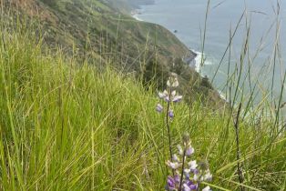 Single Family Residence,  Constellation court, Sea Ranch, CA 95497 - 35