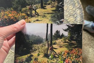 Single Family Residence,  Constellation court, Sea Ranch, CA 95497 - 30