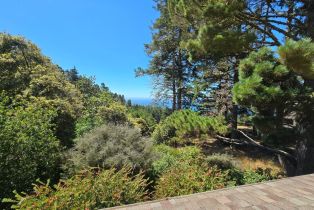 Single Family Residence,  Constellation court, Sea Ranch, CA 95497 - 21