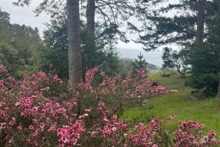 Single Family Residence,  Constellation court, Sea Ranch, CA 95497 - 25