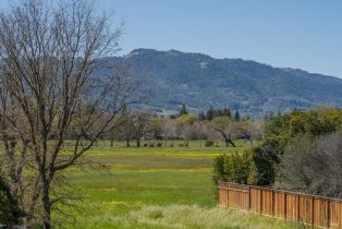 Single Family Residence,  1st street, Sonoma, CA 95476 - 37