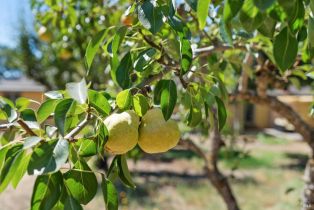 Single Family Residence,  Piezzi road, Santa Rosa, CA 95401 - 40