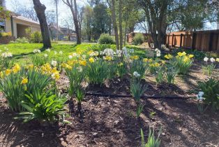 Single Family Residence,  Piezzi road, Santa Rosa, CA 95401 - 29