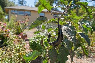 Single Family Residence,  Piezzi road, Santa Rosa, CA 95401 - 44